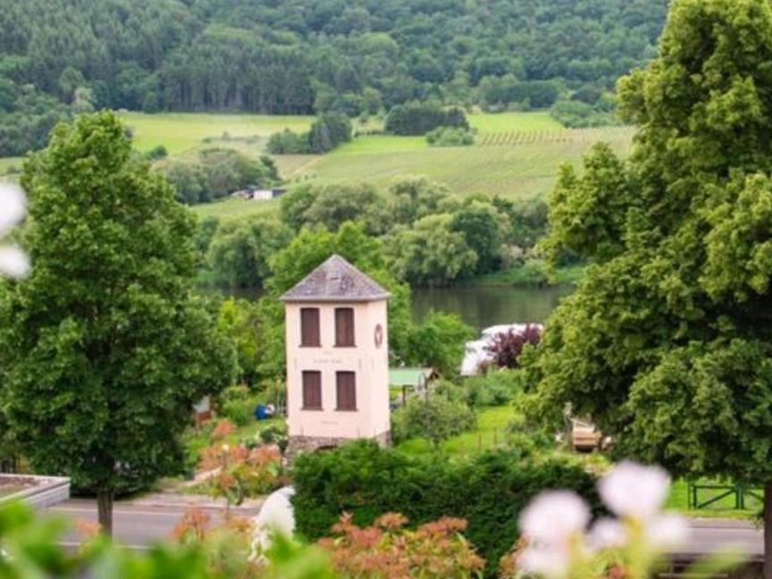 Chateau-De-La-Moselle Kinheim Exterior photo